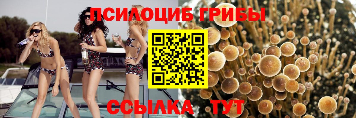 Галлюциногенные грибы Magic Shrooms Конаково